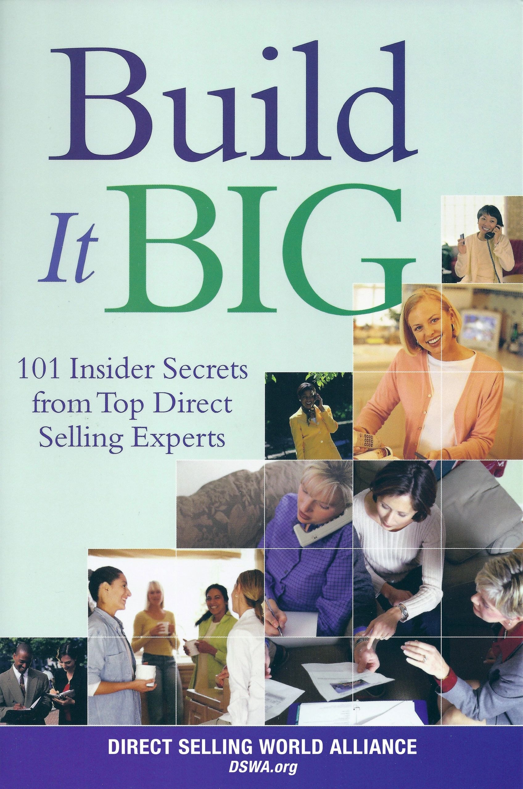 Build It Big book cover